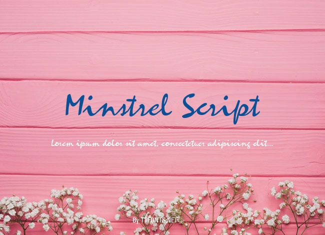 Minstrel Script example